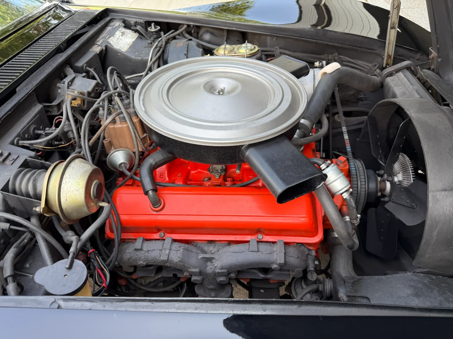 [54765599038] – IMG_6307